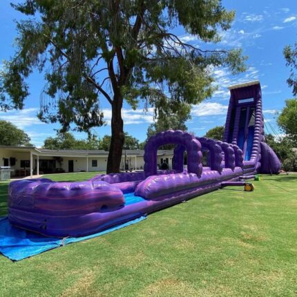 The Purple Kraken (Extra Long)
